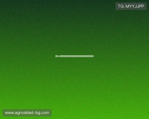 挪威vs塞内加尔比赛球星名单全解析，关注两队主力及关键球员表现