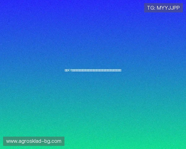 开云KY真人版全站登录助力体育网站打造专业的世界杯赛事分析与专家评论专区
